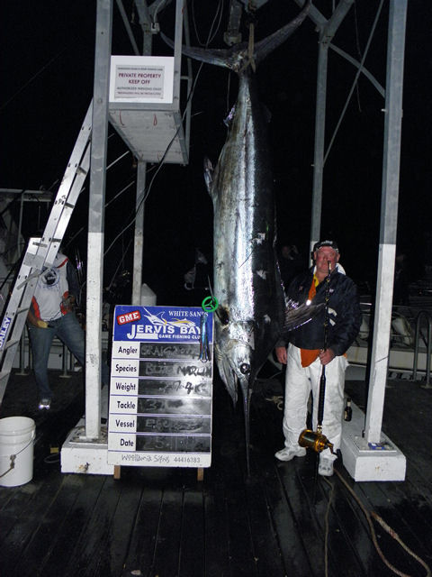 ANGLER: Craig Douglas SPECIES: Blue Marlin WEIGHT: 217.4 Kg LURE: JB Lures, 13 inch Dingo